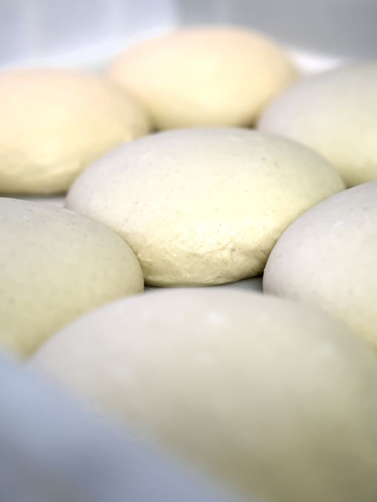 Panetti di impasto a lievitare